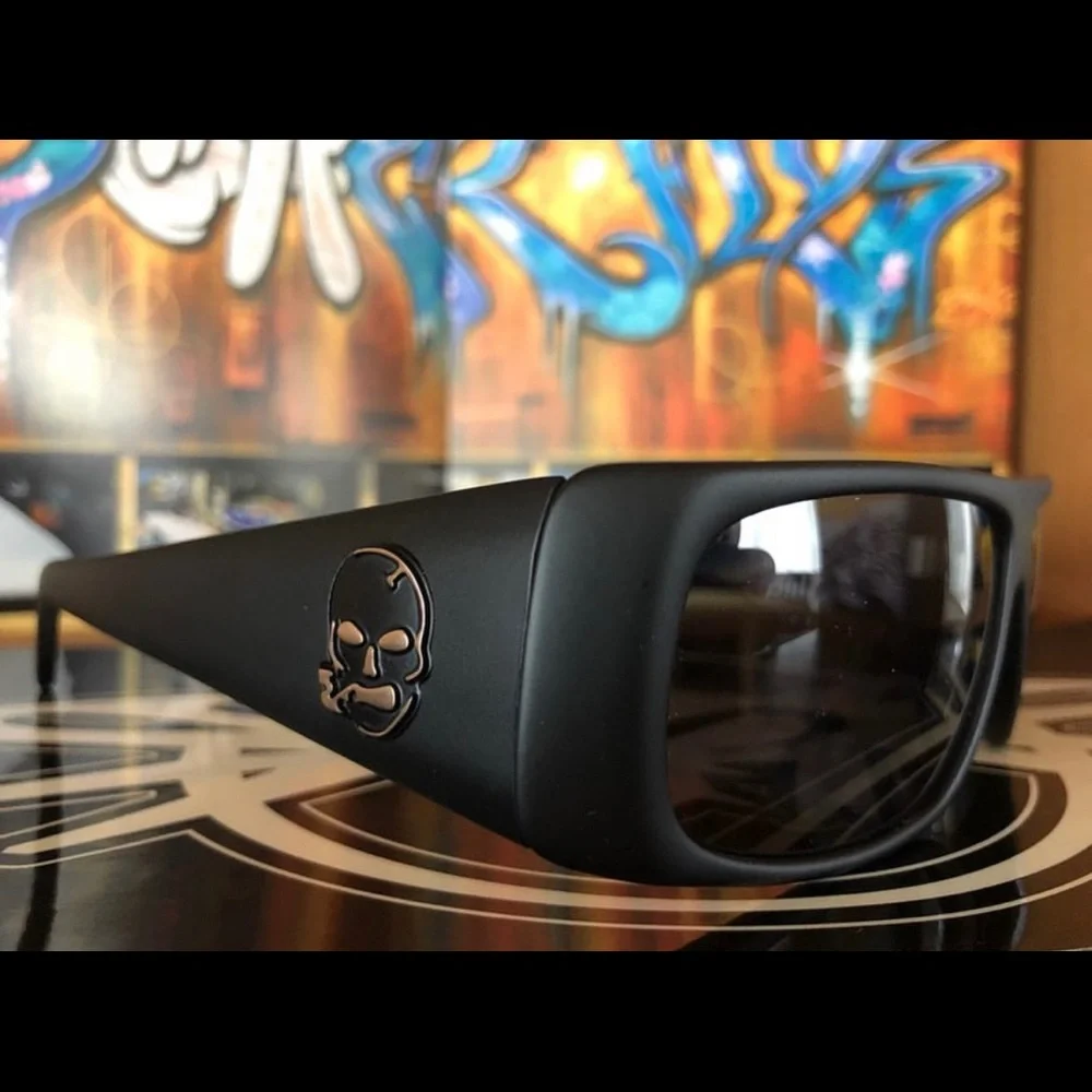 SLIGHTLY STOOPID FLY ALBUM ART SUNGLASSES 😎 - Picture 3 of 15